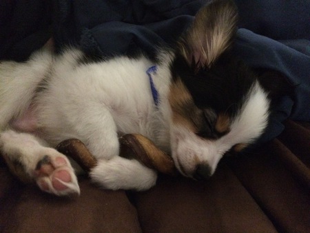 Charlie