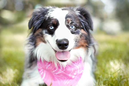Zoey