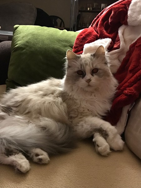 Audrey