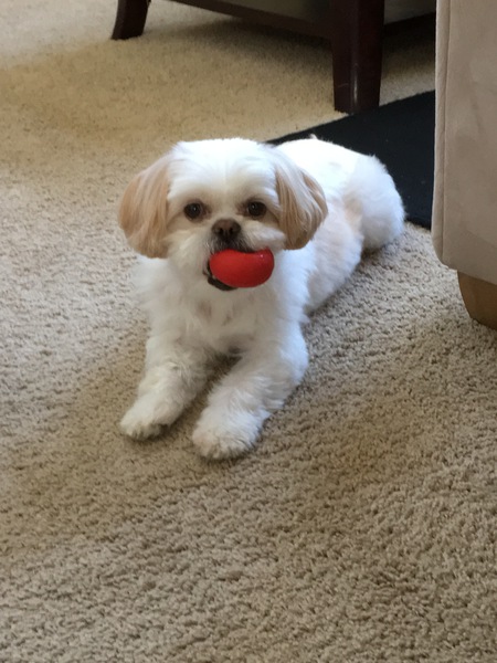 Bailey