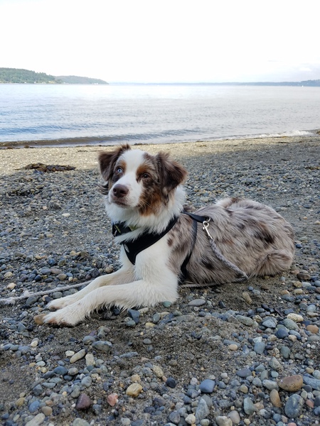 Milo