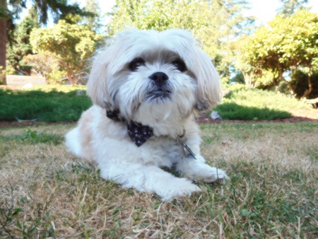 Buster Barron