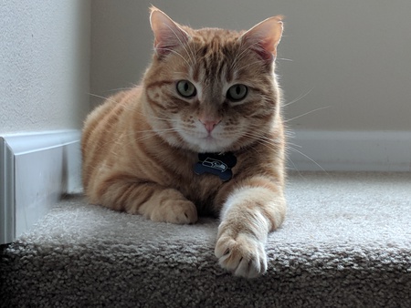 Tony