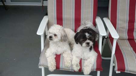 Annie & Peanut
