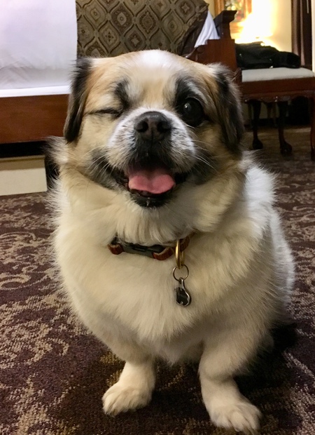 Obi 