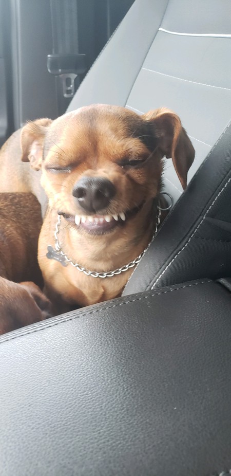 Milo