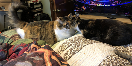 Piper and Remy Sharing Secrets
