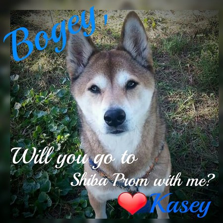 Kasey