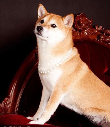 Sparklez Schuett