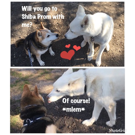 MSIR Alum Hiro and bff Roxy 