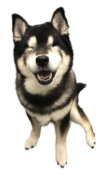 Oren