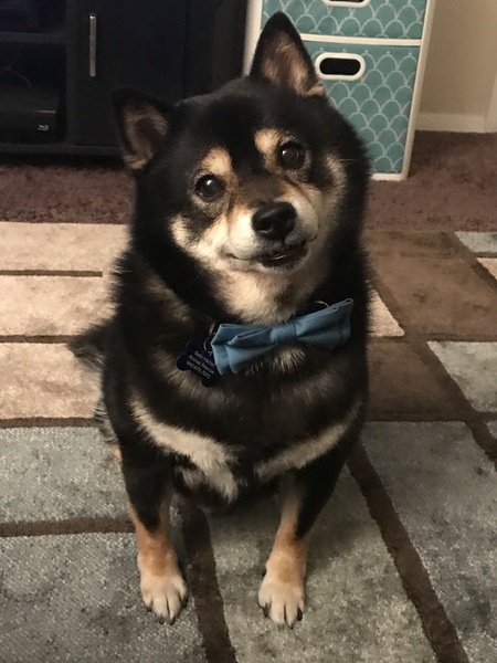 Chance