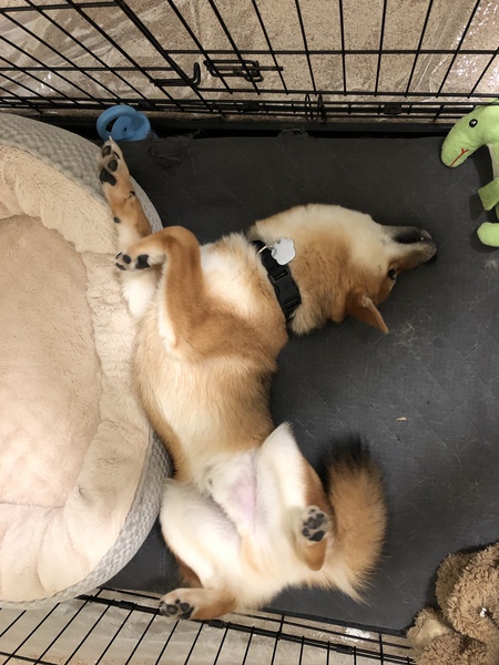 Kaien