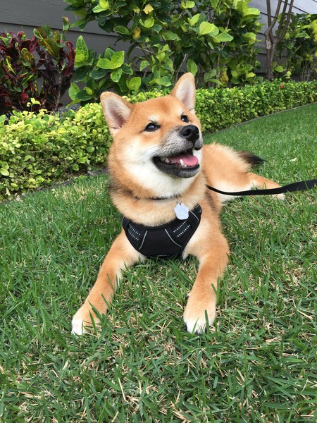 Kaien