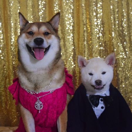 Kaiya & Tanka