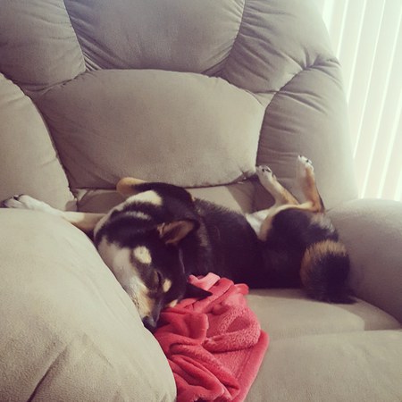 Tucker