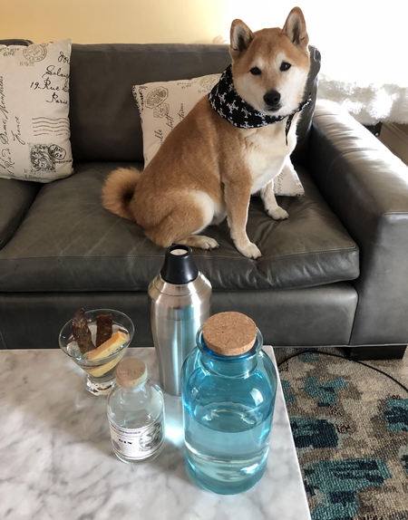 Zuko