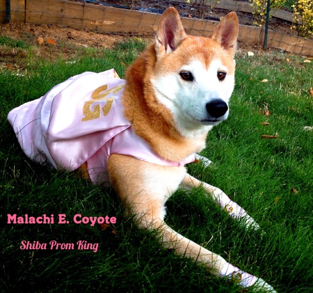Malachi E. Coyote