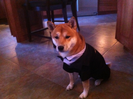 Milo