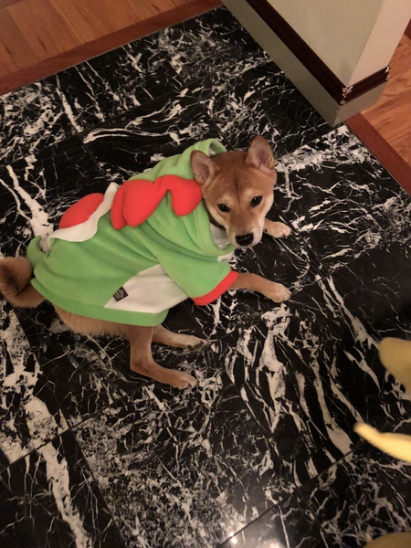 Yoshi