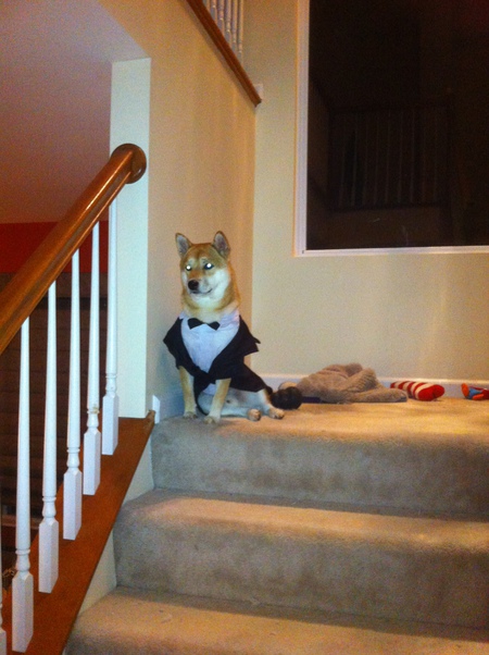 Milo