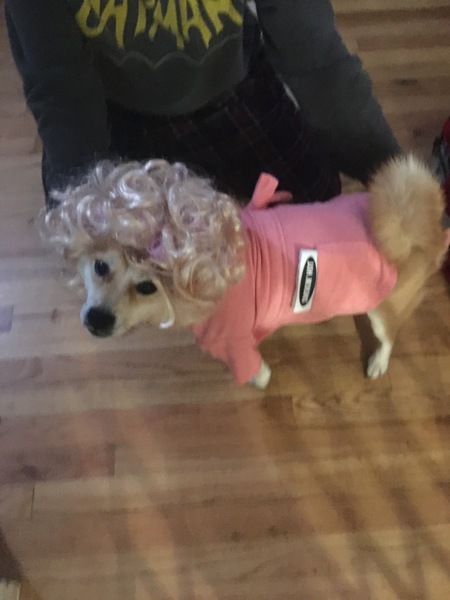 Senpai