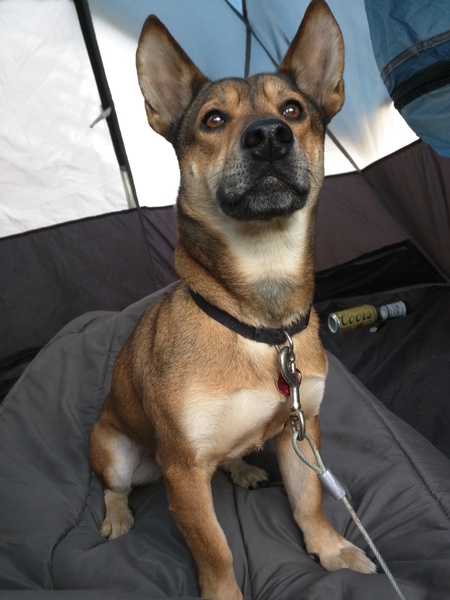 Charlie