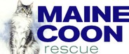 Logo for Maine Coon Rescue 2019 Fundraising Calendar Photo Contest