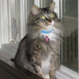 Entry image for Sandra