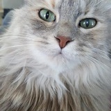 Entry image for Emily