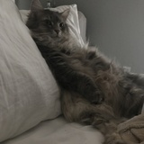 Entry image for Twister