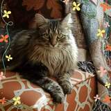 Entry image for Harlee Lynn