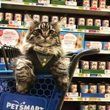 Entry image for Derry