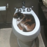 Entry image for Bianca