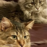 Entry image for Parker &Teddy