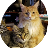 Entry image for Arby and Kassie