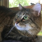 Entry image for Mr. Wilson