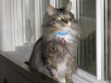 Entry image for Sandra. Clicking this image will show a larger photo