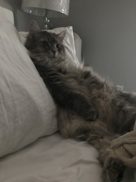 Entry image for Twister. Clicking this image will show a larger photo