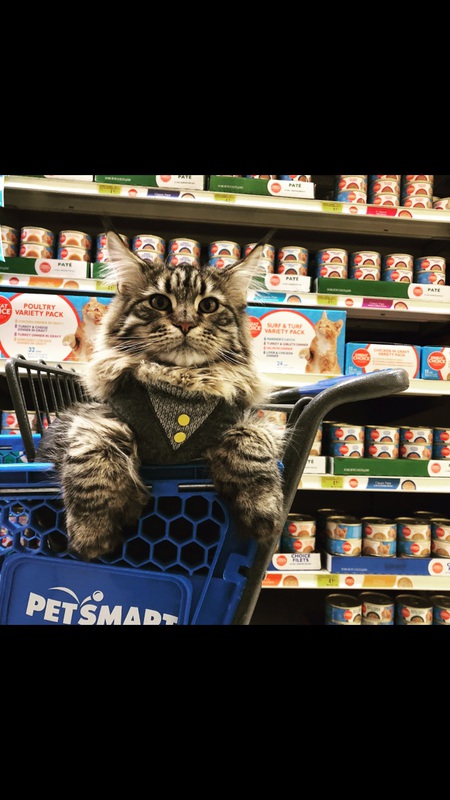 Entry image for Derry. Clicking this image will show a larger photo