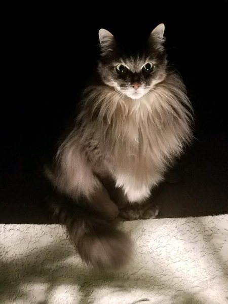 Entry image for Ricky. Clicking this image will show a larger photo