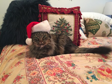 Entry image for Max. Clicking this image will show a larger photo