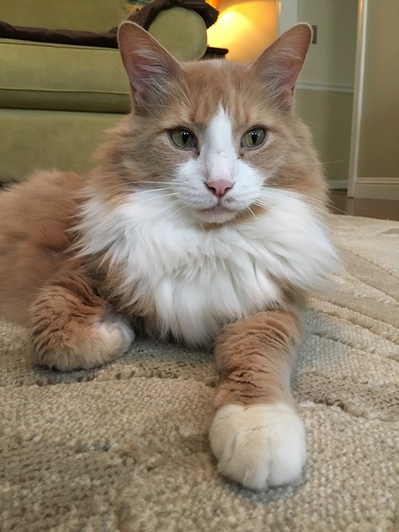 Entry image for Leonard. Clicking this image will show a larger photo