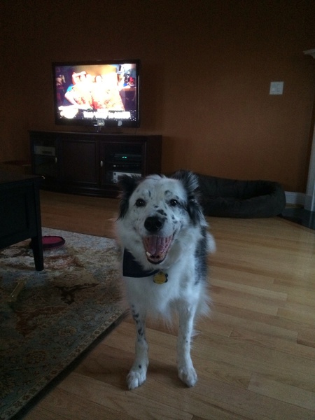 Molson