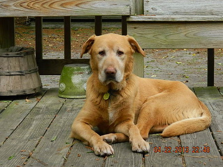 Duncan