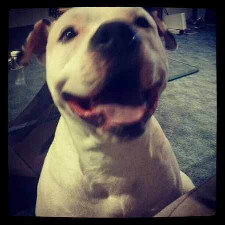 Petey