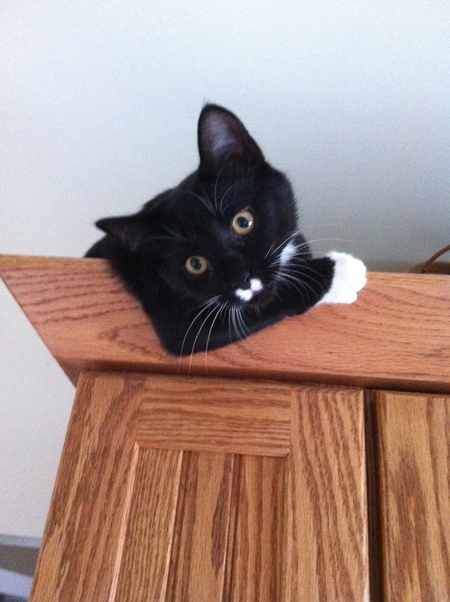 Mittens