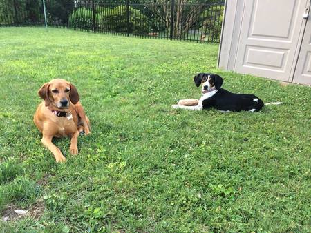 Tawny & Bindy