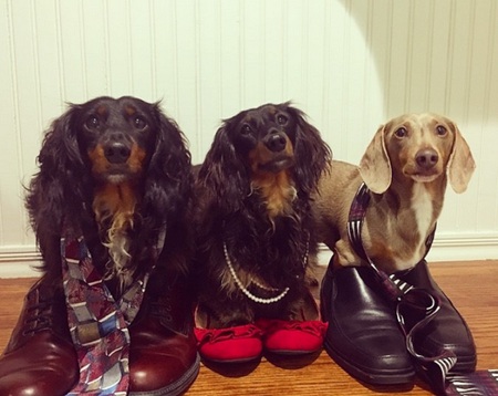 Shotgun Willie, Maggie's Pickles and Roscoe Leroy