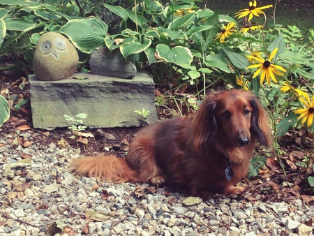 Bailey